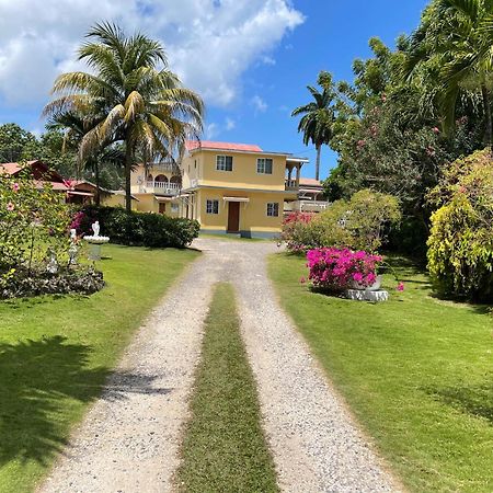Little Shaw Park Guest House Ocho Ríos Exterior foto