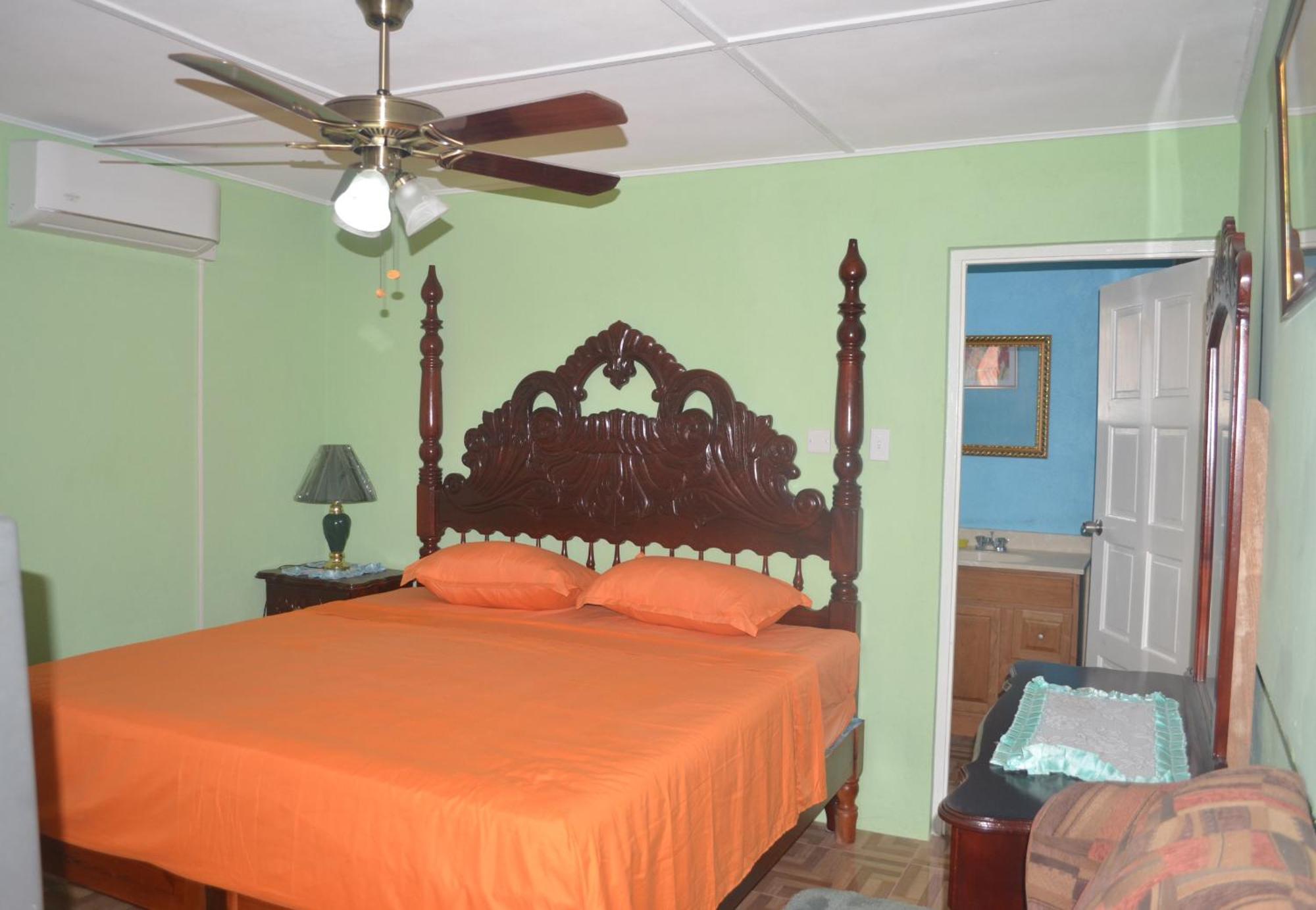 Little Shaw Park Guest House Ocho Ríos Exterior foto
