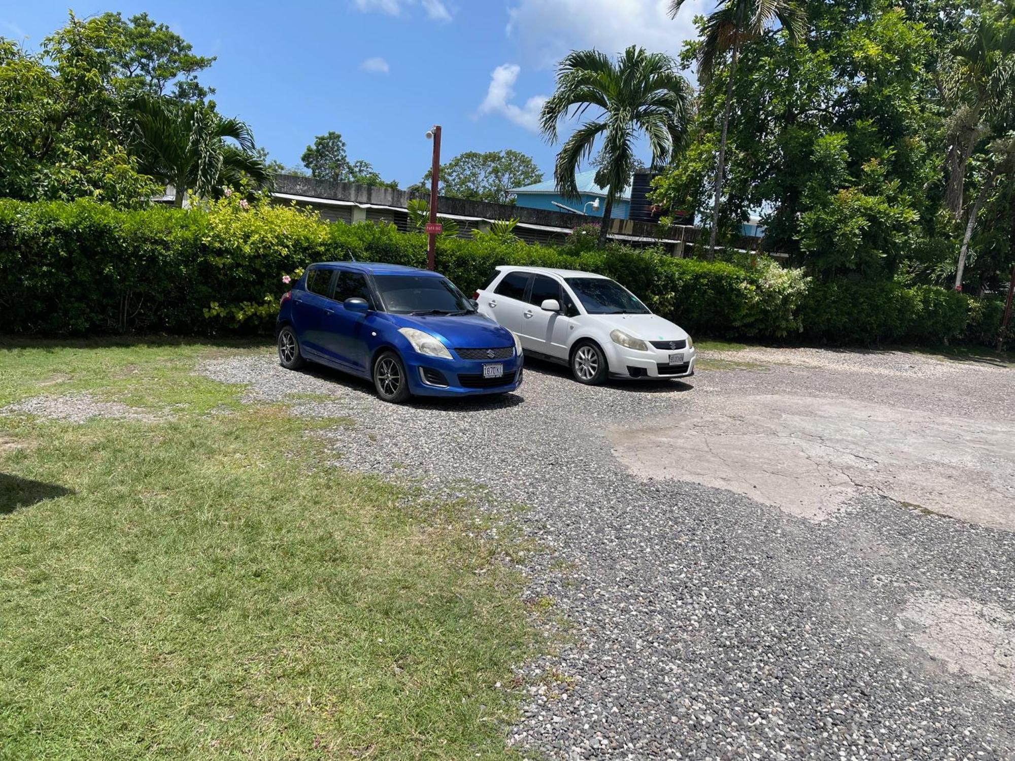 Little Shaw Park Guest House Ocho Ríos Exterior foto