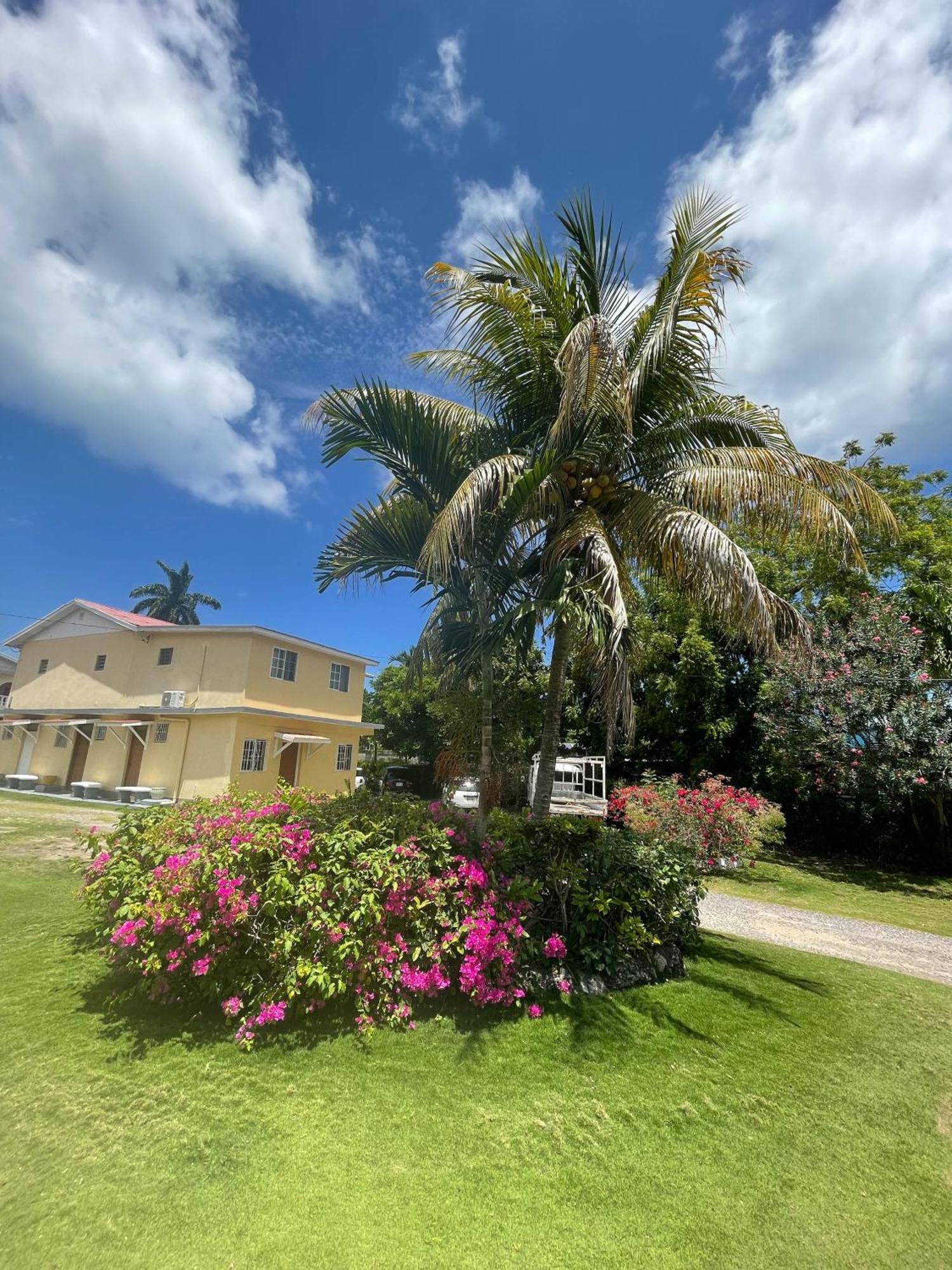 Little Shaw Park Guest House Ocho Ríos Exterior foto